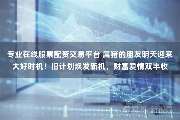 专业在线股票配资交易平台 属猪的朋友明天迎来大好时机！旧计划焕发新机，财富爱情双丰收